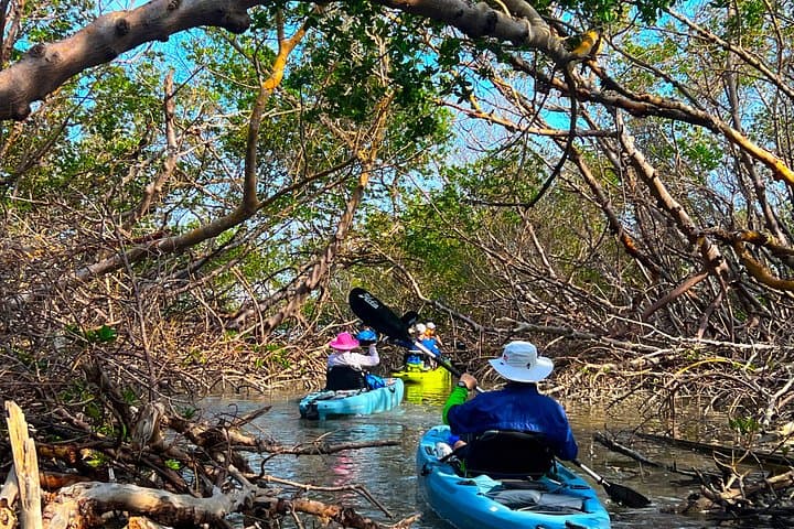 Hobie Pedal Kayak Eco Tour at Big Hickory Island — Naples Guided Adventure