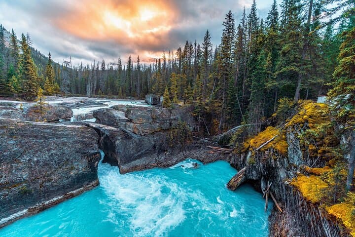 Private Banff Day Tour: Lake Louise, Moraine Lake, Peyto & Icefields Parkway Sights photo 4