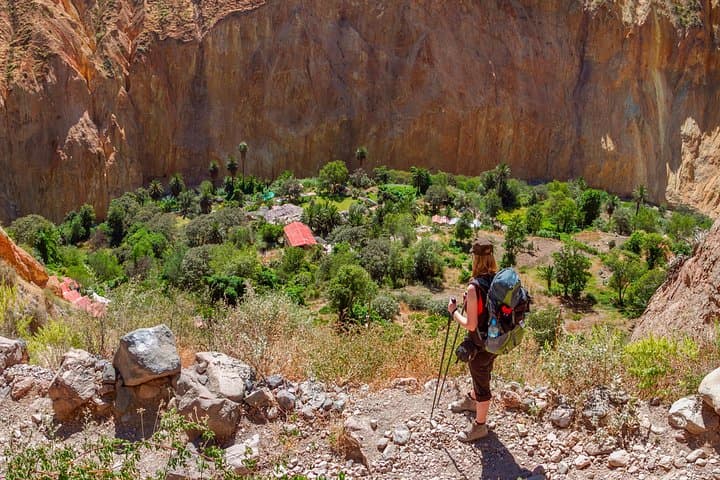 Colca Canyon 2-Day Trek: Sunrise Hike, Sangalle Oasis & Hot Springs photo 1