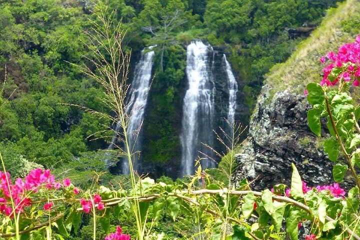 East Kauai Waterfalls & Food Tasting — Private 5‑Hour Kauai Experience photo 3