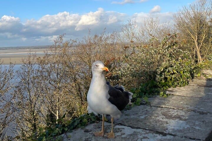 Mont Saint-Michel Day Trip: Abbey Tour, Bay Views & Cider Tasting from Paris photo 3