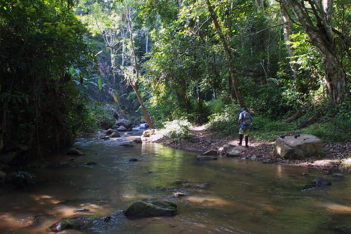 Chiang Dao Day Trek: Private Trekking, Caves & Hot Springs from Chiang Mai photo 2
