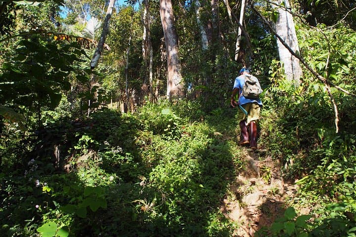 Chiang Dao Day Trek: Private Trekking, Caves & Hot Springs from Chiang Mai photo 3