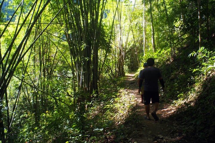 Chiang Dao Day Trek: Private Trekking, Caves & Hot Springs from Chiang Mai photo 4