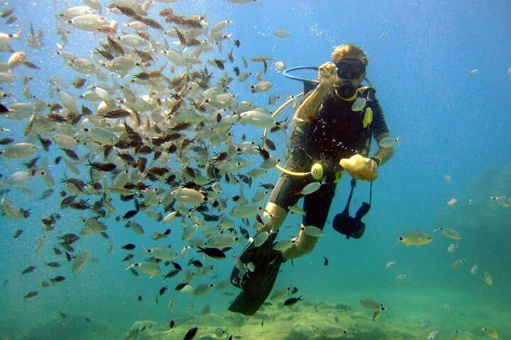 Scuba Diving in Alanya: Mediterranean Day Trip with Lunch photo 2
