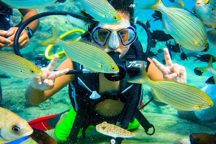 Scuba Diving in Alanya: Mediterranean Day Trip with Lunch photo 5