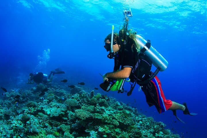 Scuba Diving in Alanya: Mediterranean Day Trip with Lunch photo 6
