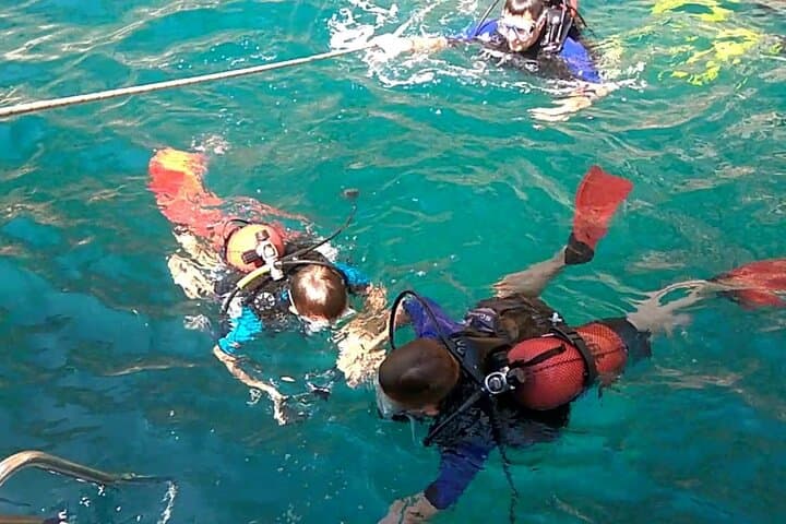 Side Scuba Diving Day Trip: Two Dives, Boat Lunch & Coastal Marine Life photo 3