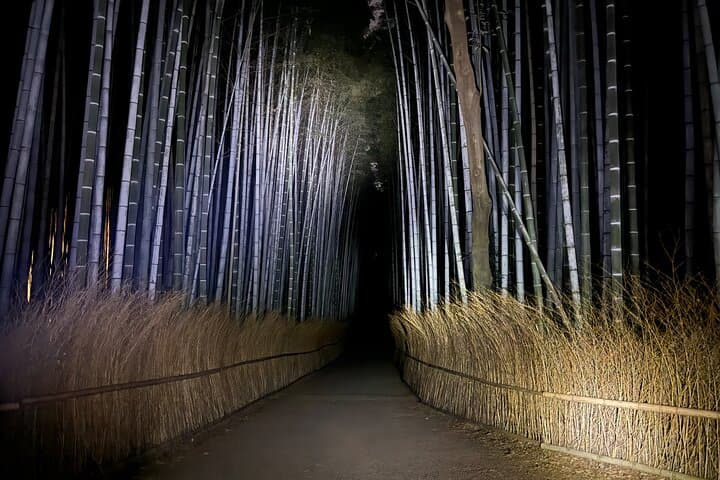 Night Walks in Arashiyama: Dark Tales and Bamboo Forest Alone photo 3