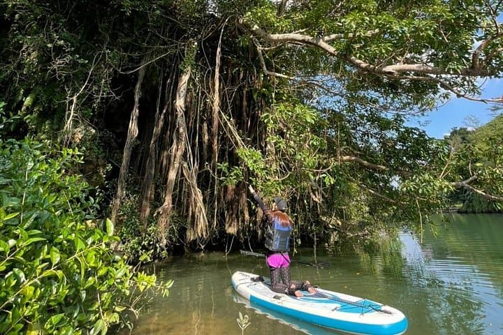 Paddling Kadena's Mangroves: Family-Friendly SUP Tour in Okinawa photo 1