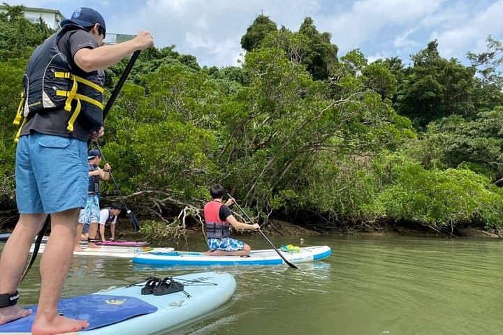 Paddling Kadena's Mangroves: Family-Friendly SUP Tour in Okinawa photo 2