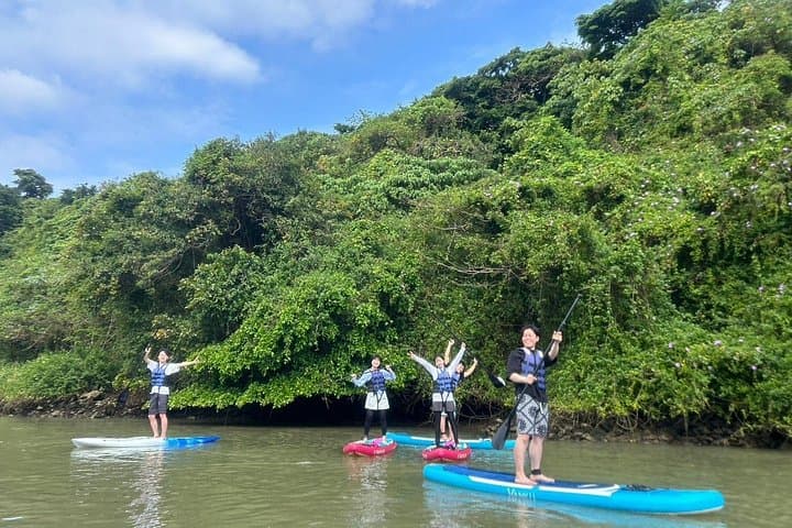 Paddling Kadena's Mangroves: Family-Friendly SUP Tour in Okinawa photo 3