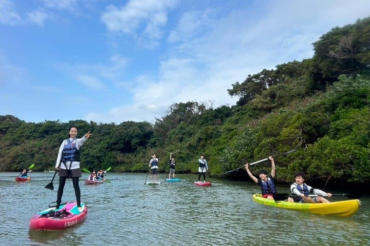 Paddling Kadena's Mangroves: Family-Friendly SUP Tour in Okinawa photo 4