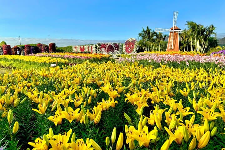Taichung Day Trip: Flowers, Bubble Tea, Rainbow Village & Gaomei Wetland Sunset photo 4