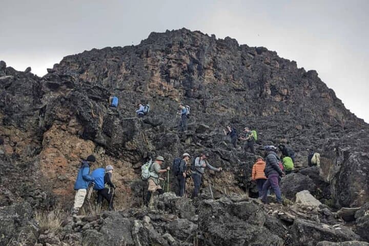 Lemosho Route 8-Day Kilimanjaro Climb to Uhuru Peak photo 4
