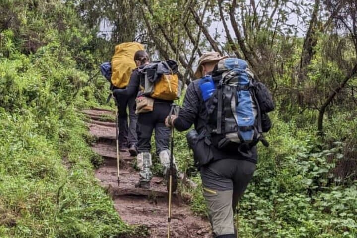 Lemosho Route 8-Day Kilimanjaro Climb to Uhuru Peak photo 5
