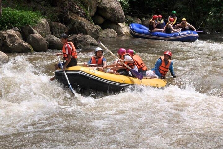 One-Day Sticky Waterfall, White-Water Rafting & Ethical Elephant Sanctuary Near Chiang Mai photo 4