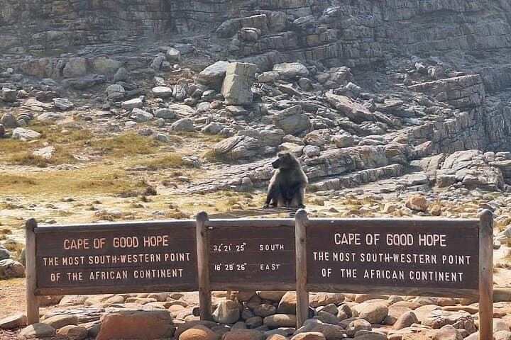 Cape Peninsula Private Tour: A Full-Day Drive from Cape Town to Cape Point
