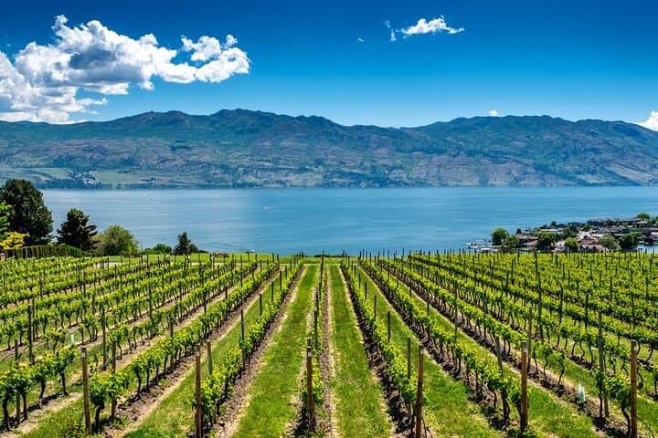 Okanagan Valley Full-Day Private Wine Tour from Kelowna — Taste the Volcanic Terroir photo 1