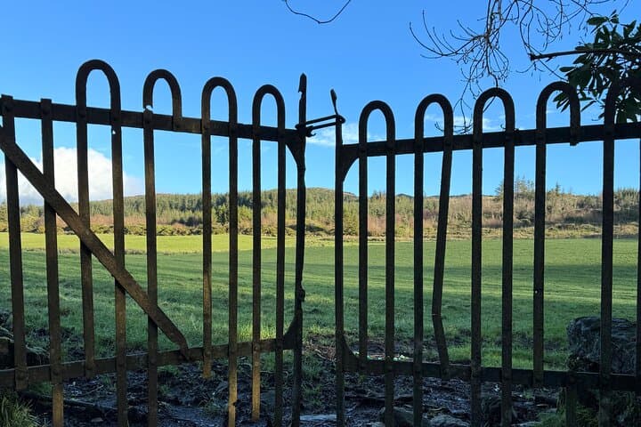 12 Walks for Christmas — West Cork Winter Walking Series photo 3