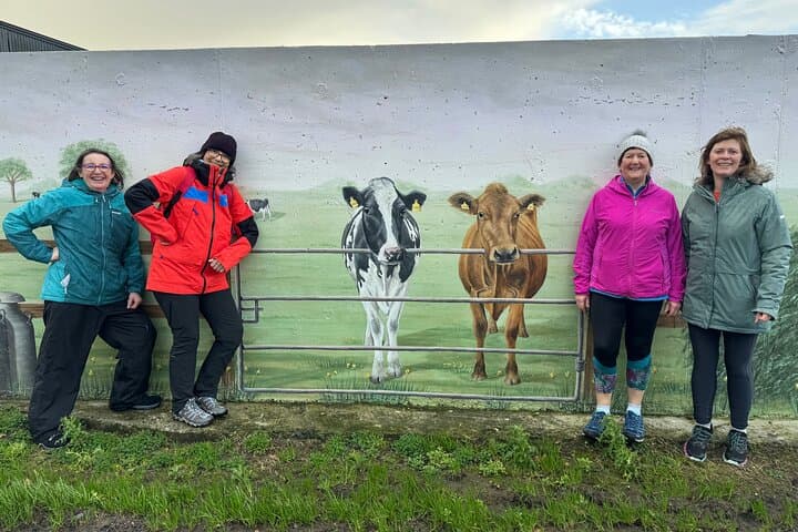 12 Walks for Christmas — West Cork Winter Walking Series