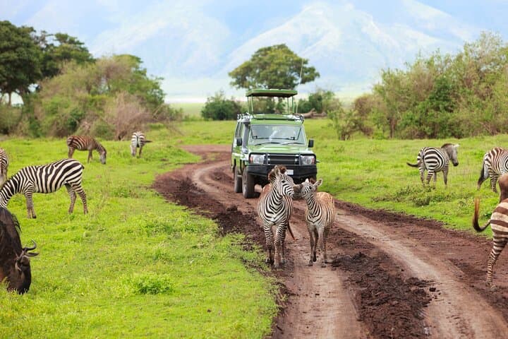 7-Day Northern Tanzania Safari: Serengeti, Ngorongoro & Tarangire