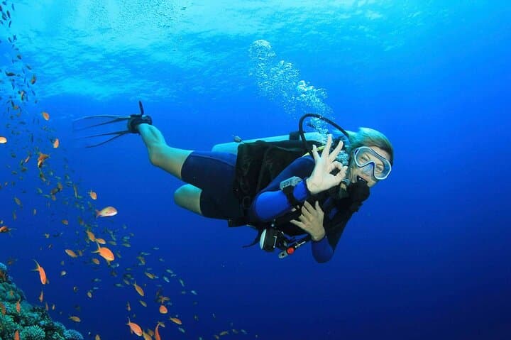 Antalya Scuba Diving: 2-Dive Boat Trip with Lunch and Pickup photo 3