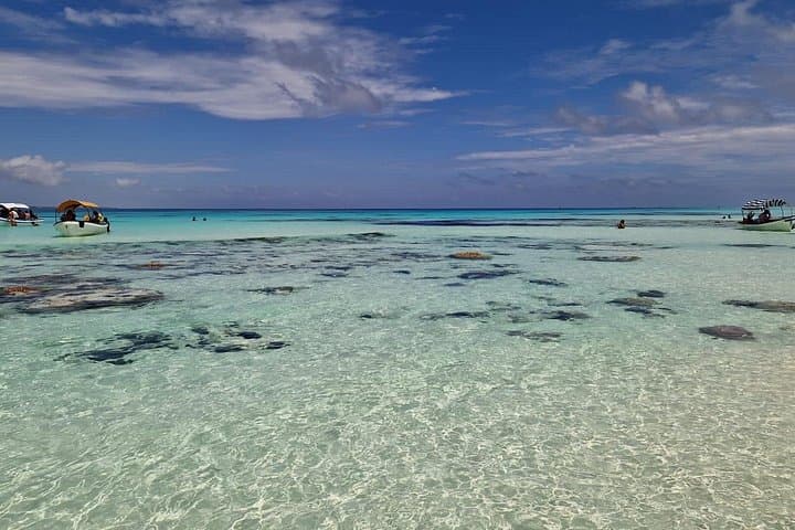 Two-Day Private Zanzibar Tour: Stone Town, Jozani & Mnemba Island photo 5