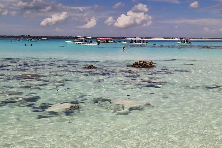 Two-Day Private Zanzibar Tour: Stone Town, Jozani & Mnemba Island photo 6