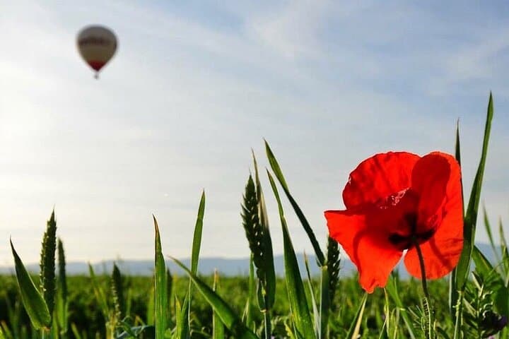 Sunrise Balloon Flight Over Aranjuez: One-Hour Ride & Brunch photo 5