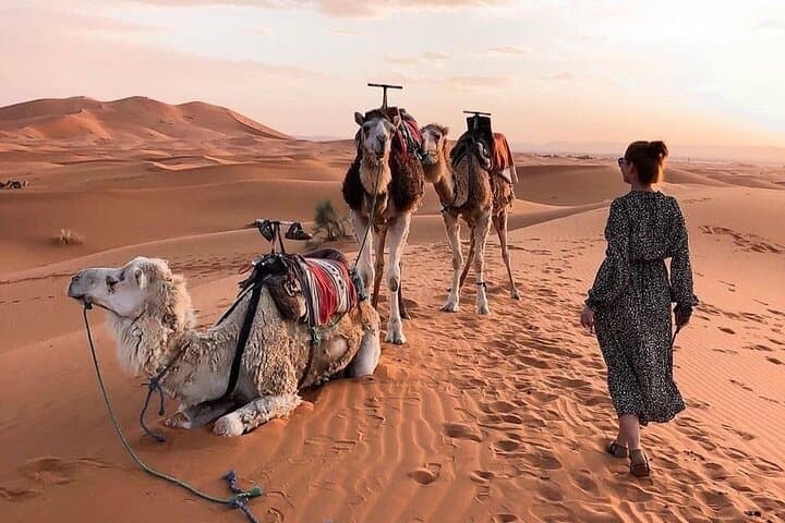 Dromedary Desert Expedition in Djerba: Camel Trek, Night Camp & Sandboarding photo 6