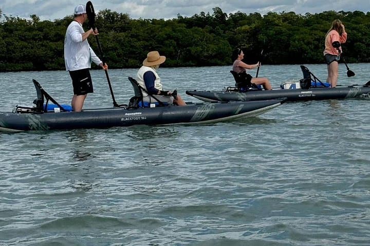 Secluded Mangrove Kayak to Dolphin Watch Sandbar — 6-Hour Wildlife Expedition photo 2