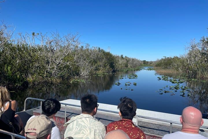 Everglades Airboat Eco-Tour: Airboat Ride & Wildlife Encounter from Miami photo 5