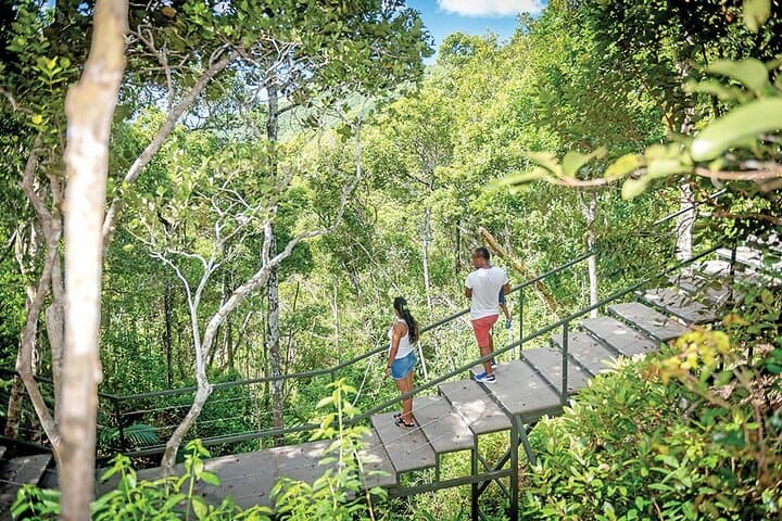 Southwest Mauritius Chamarel Jeep Safari & Seven Coloured Earth Day Tour photo 1