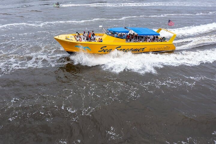 Sea Screamer Dolphin Watch Cruise from Little River — 2-Hour Atlantic Dolphin Tour photo 1