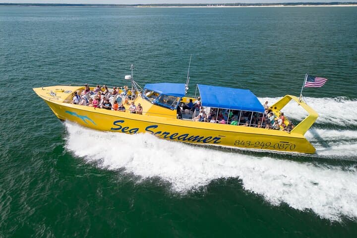 Sea Screamer Dolphin Watch Cruise from Little River — 2-Hour Atlantic Dolphin Tour photo 2