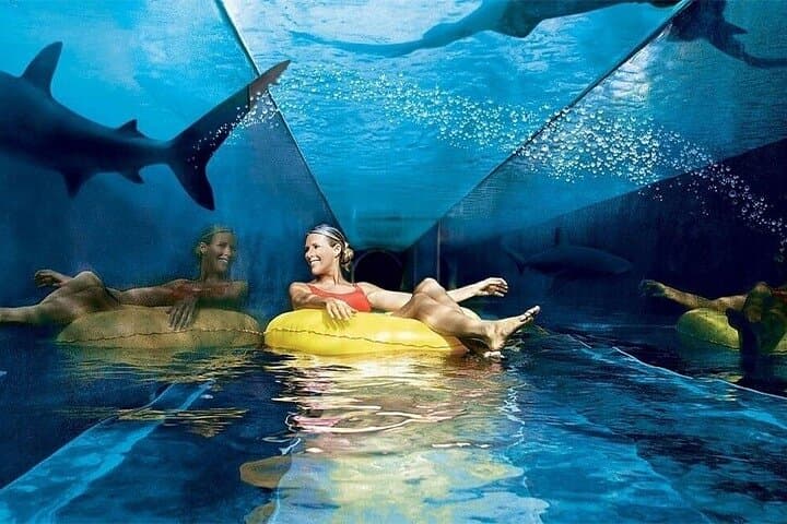 Explore the Lost Chamber Aquarium at Atlantis The Palm: Underwater Dubai Experience photo 5