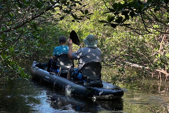 Paddle Through Prehistoric Mangrove Tunnels: 2-Hour Queens Island Jungle Kayak photo 6