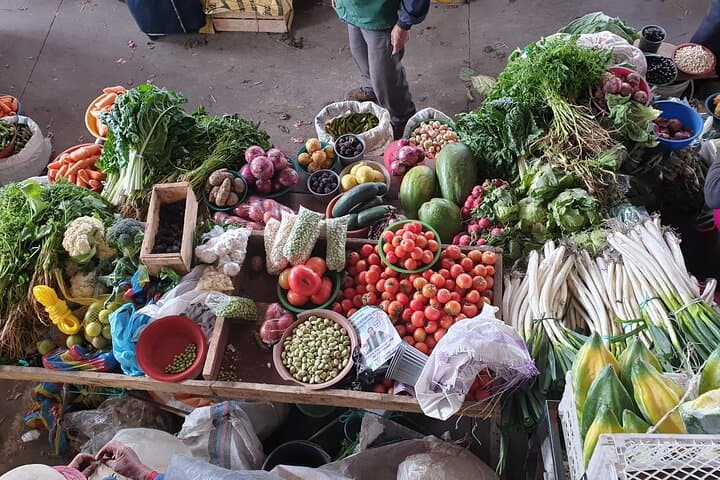 21-Day Ecuador Adventure: Andes, Amazon & Cloud Forest Tour photo 3