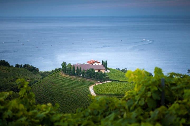 Full-Day Private Txakoli Tasting Tour: San Sebastián & Getaria from Bilbao photo 1