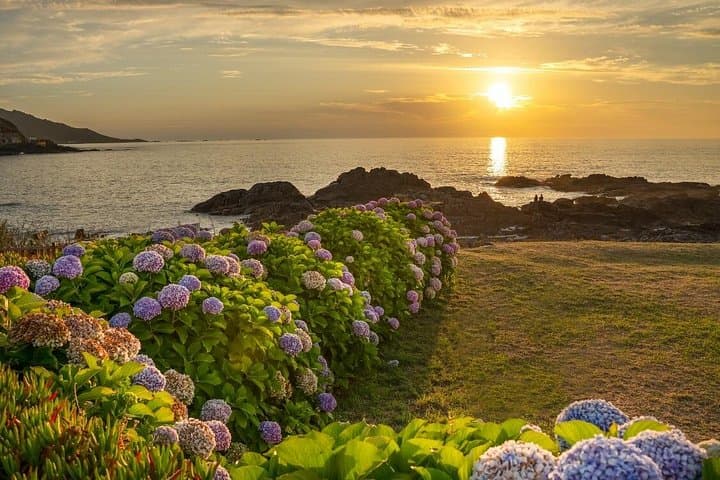 Private Day Tour from Bilbao to Biarritz, Bayonne & Saint-Jean-de-Luz photo 4