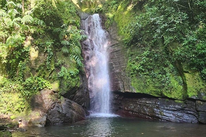 Sound Healing Nature Walk & Waterfall Brunch Near Kingston, Jamaica photo 3
