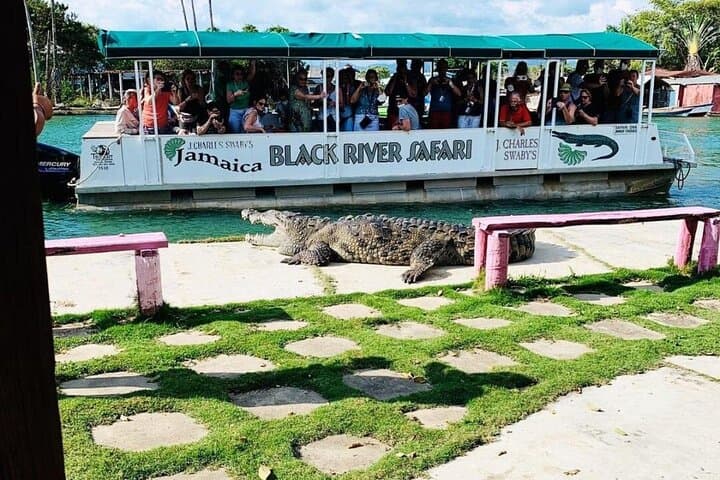 Black River Safari & Floyd's Pelican Bar: Boat Tour from Montego Bay photo 1