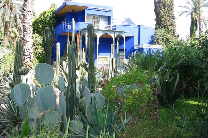 Majorelle Garden Marrakech: Skip-the-Line Tickets and Private Transfer Guide photo 3