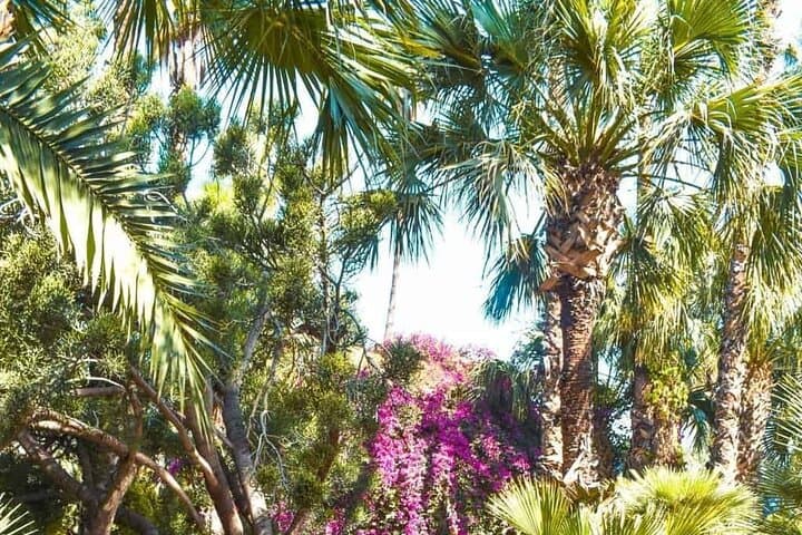 Majorelle Garden Marrakech: Skip-the-Line Tickets and Private Transfer Guide