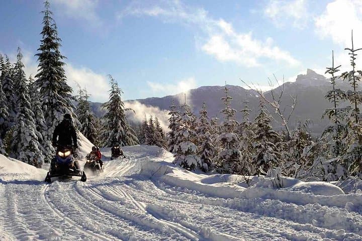 Whistler Backcountry Snowmobile Tour — 3-Hour Wilderness Adventure with Cabin BBQ photo 4