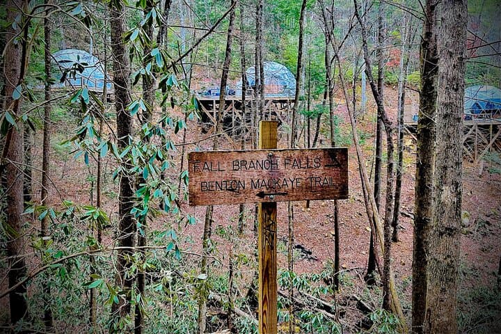 Blue Ridge Waterfall Hike and Wine Tasting Day Trip from Atlanta photo 4