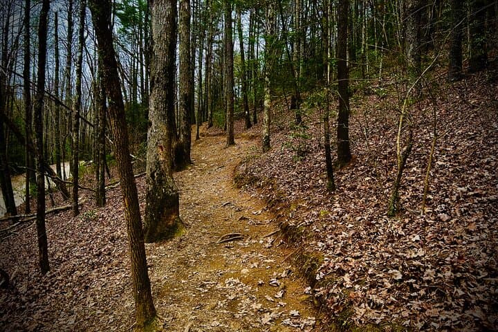 Blue Ridge Waterfall Hike and Wine Tasting Day Trip from Atlanta photo 5