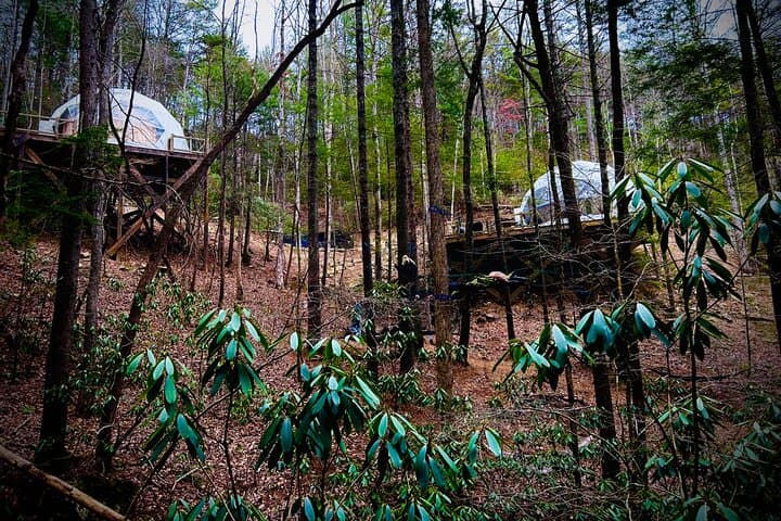 Blue Ridge Waterfall Hike and Wine Tasting Day Trip from Atlanta photo 6