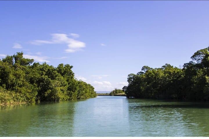 Black River Safari & Floyd's Pelican Bar: Boat Tour from Montego Bay photo 3